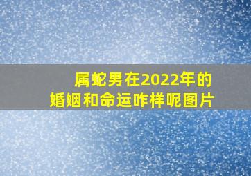 属蛇男在2022年的婚姻和命运咋样呢图片