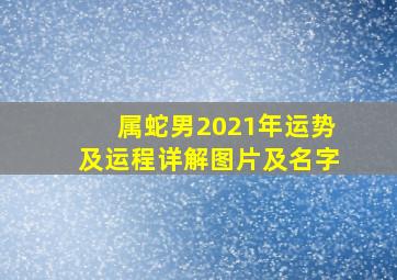 属蛇男2021年运势及运程详解图片及名字