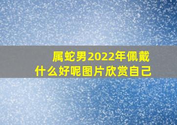 属蛇男2022年佩戴什么好呢图片欣赏自己