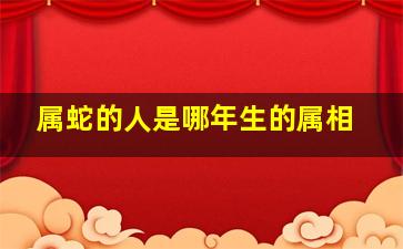 属蛇的人是哪年生的属相