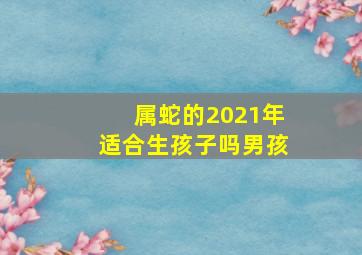 属蛇的2021年适合生孩子吗男孩