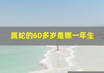 属蛇的60多岁是哪一年生