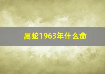 属蛇1963年什么命