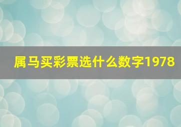 属马买彩票选什么数字1978