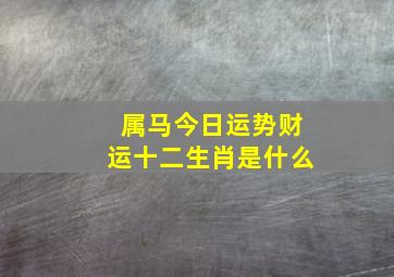 属马今日运势财运十二生肖是什么