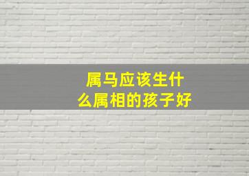 属马应该生什么属相的孩子好