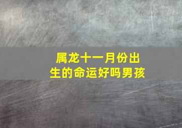 属龙十一月份出生的命运好吗男孩