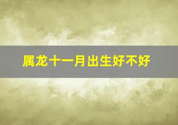 属龙十一月出生好不好