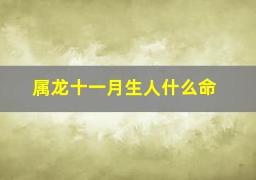 属龙十一月生人什么命