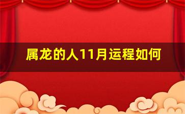 属龙的人11月运程如何