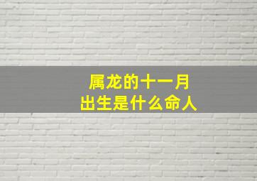 属龙的十一月出生是什么命人