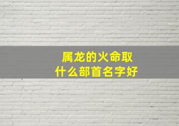 属龙的火命取什么部首名字好