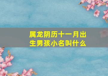 属龙阴历十一月出生男孩小名叫什么