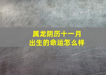 属龙阴历十一月出生的命运怎么样