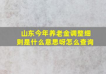 山东今年养老金调整细则是什么意思呀怎么查询