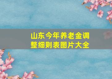 山东今年养老金调整细则表图片大全