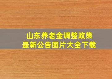 山东养老金调整政策最新公告图片大全下载