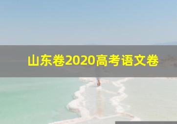 山东卷2020高考语文卷