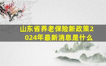 山东省养老保险新政策2024年最新消息是什么