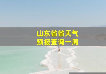 山东省省天气预报查询一周