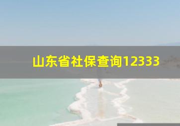 山东省社保查询12333