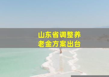 山东省调整养老金方案出台