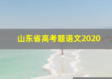 山东省高考题语文2020