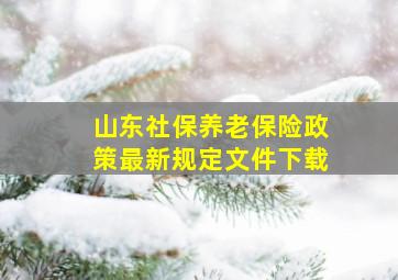 山东社保养老保险政策最新规定文件下载