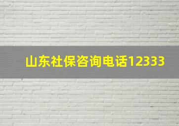 山东社保咨询电话12333