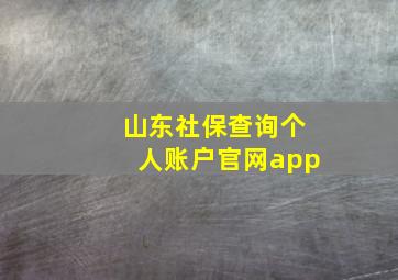 山东社保查询个人账户官网app