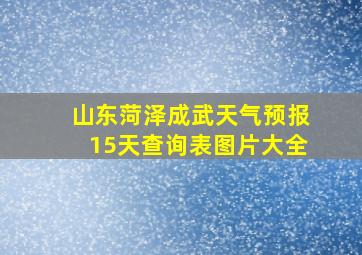 山东菏泽成武天气预报15天查询表图片大全