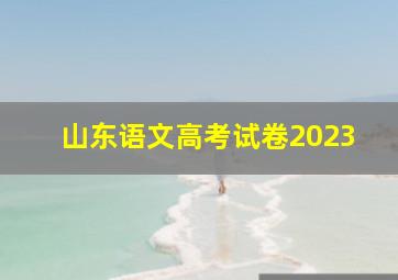 山东语文高考试卷2023