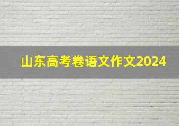 山东高考卷语文作文2024