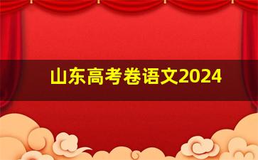 山东高考卷语文2024