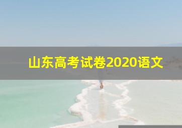 山东高考试卷2020语文