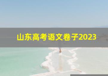 山东高考语文卷子2023