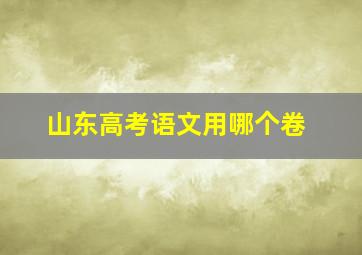 山东高考语文用哪个卷