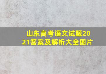 山东高考语文试题2021答案及解析大全图片