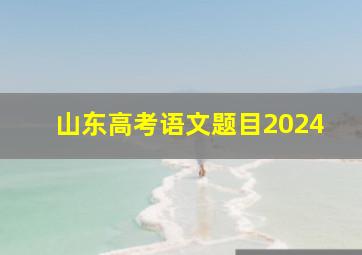 山东高考语文题目2024