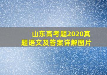 山东高考题2020真题语文及答案详解图片