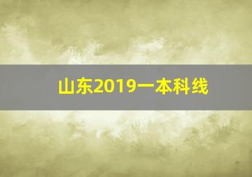 山东2019一本科线