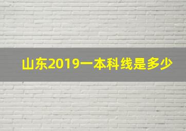 山东2019一本科线是多少