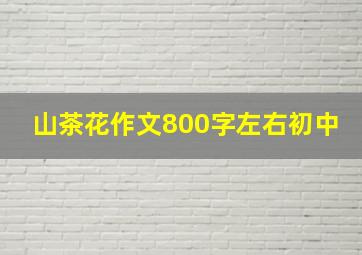 山茶花作文800字左右初中