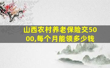 山西农村养老保险交5000,每个月能领多少钱