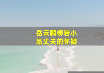 岳云鹏柳岩小品丈夫的怀疑