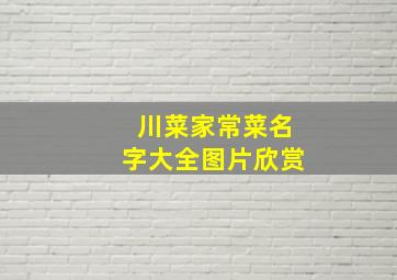 川菜家常菜名字大全图片欣赏