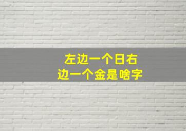 左边一个日右边一个金是啥字