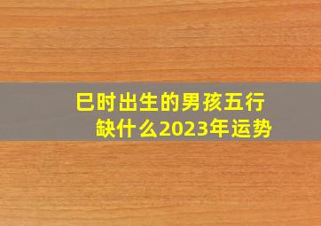 巳时出生的男孩五行缺什么2023年运势