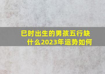 巳时出生的男孩五行缺什么2023年运势如何