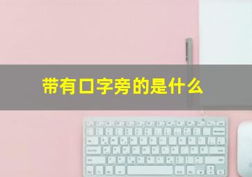 带有口字旁的是什么